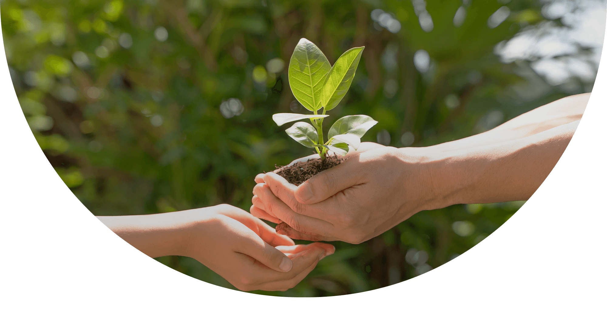 一人ひとりの違いや強みを大切にし、 思いやりと信頼でつながるあたたかい居場所